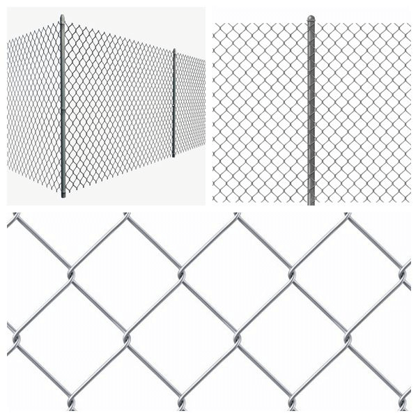 Chain Link Fence231